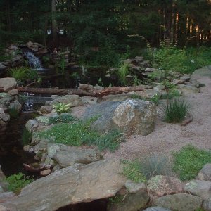 Turtlepond