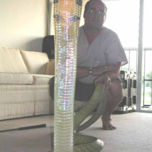 Ray Hunter w/12 ft Malayan King Cobra