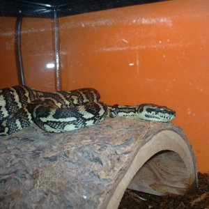 Picture_047