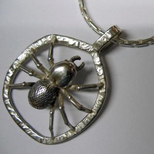 Spider