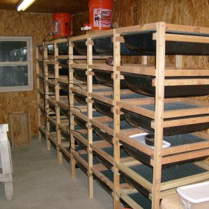 Pics of my Set ups