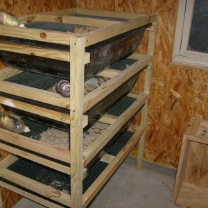 Pics of my Set ups