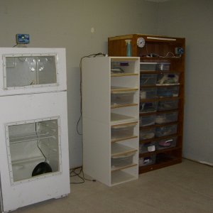 Pics of my Set ups