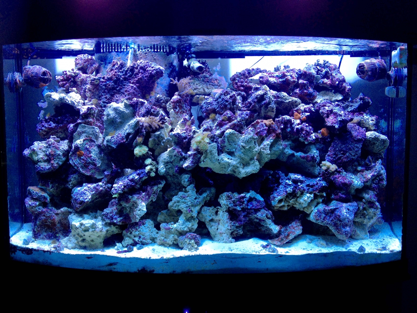 100_Gallon_5_16_14_1-2