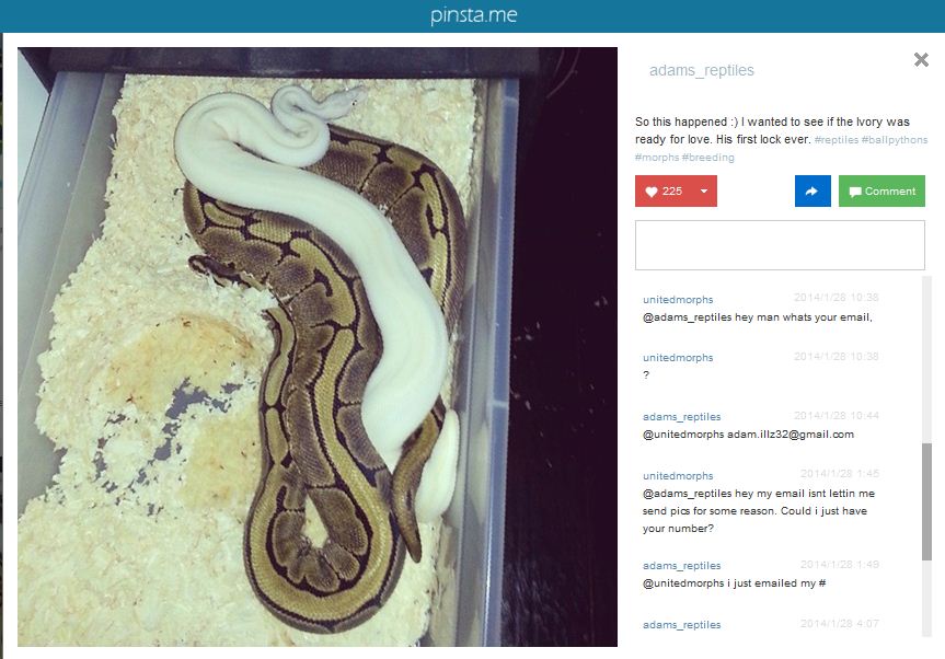 adams_reptiles_pretrade_exchange1