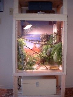 Ambanja Chameleon Cage