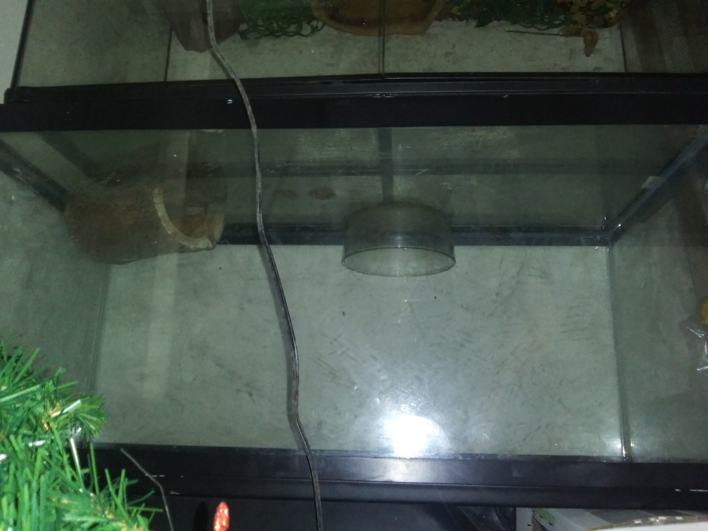 Aquarium
