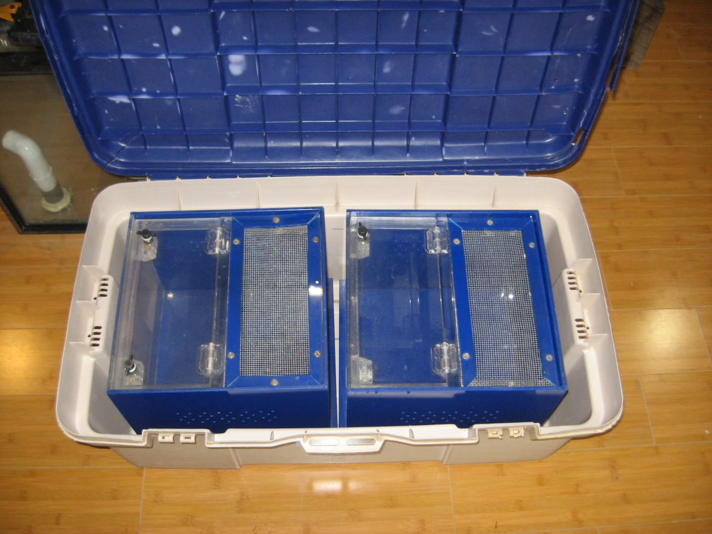 display boxes