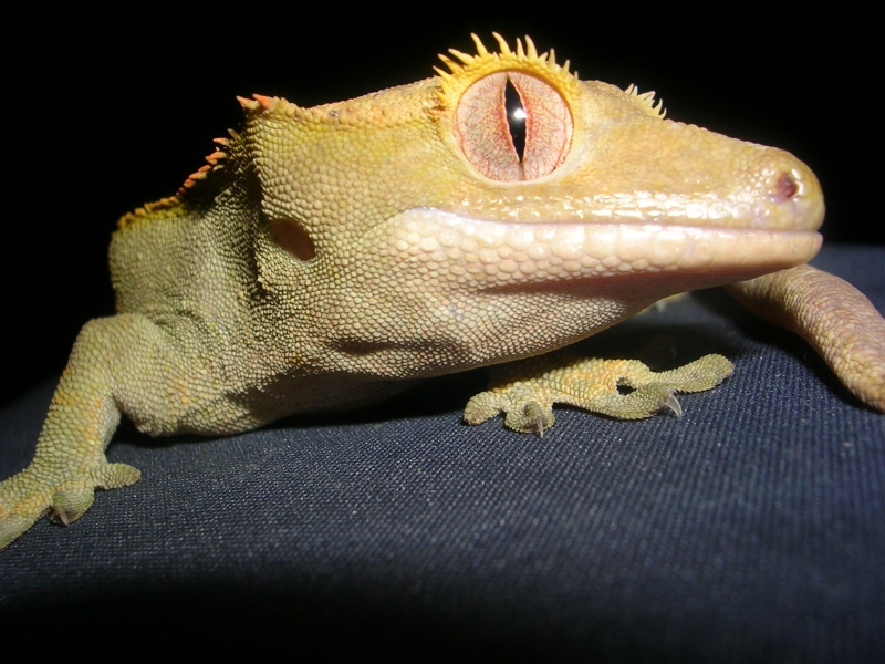 DSCN2822