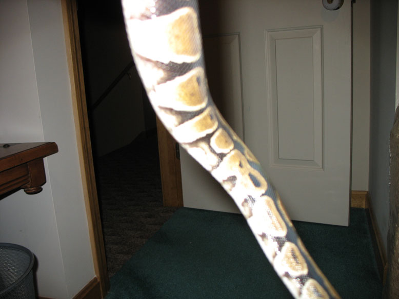 Female 2