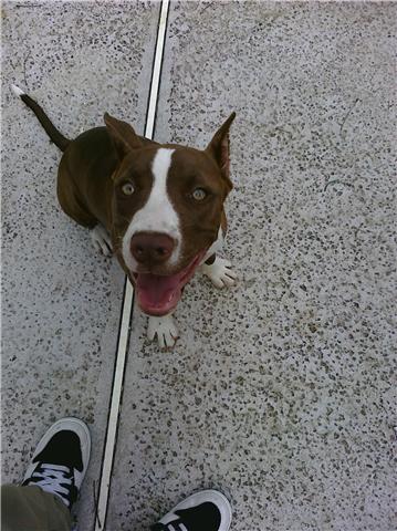 karma(8months)