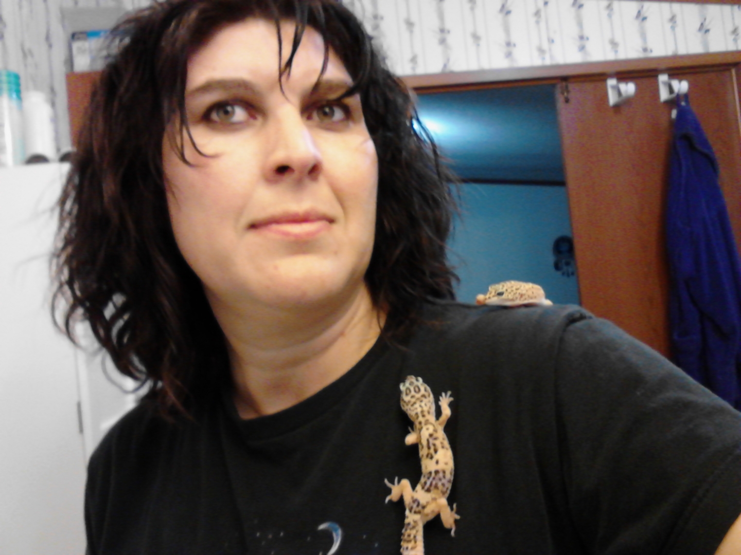 Leopard Geckos