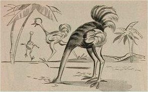 ostrich