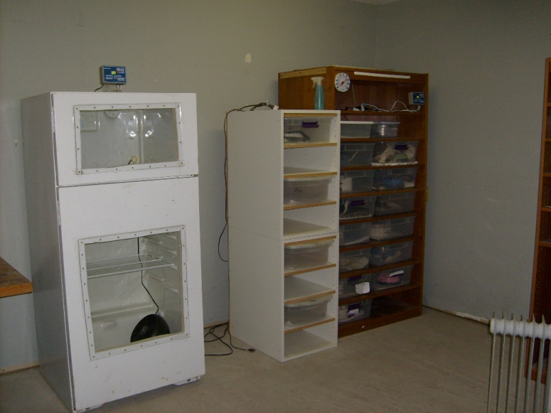 Pics of my Set ups