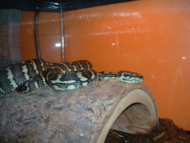Picture_047