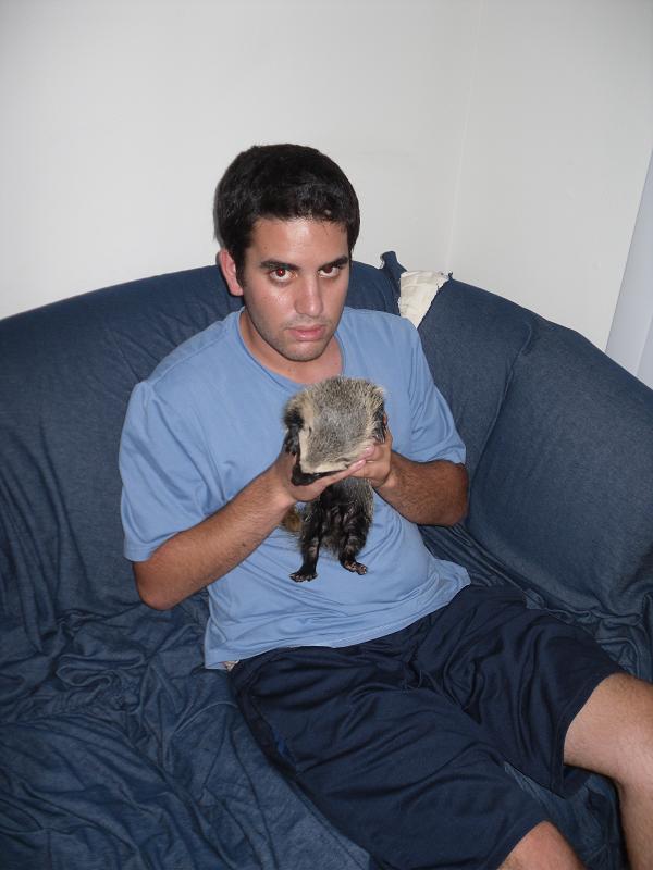 Rare Baby Grison