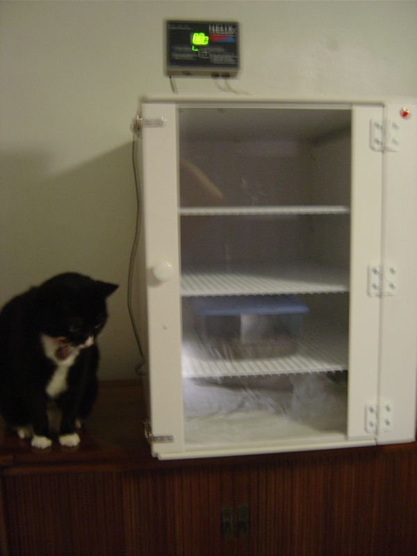 The Incubator Supervisor