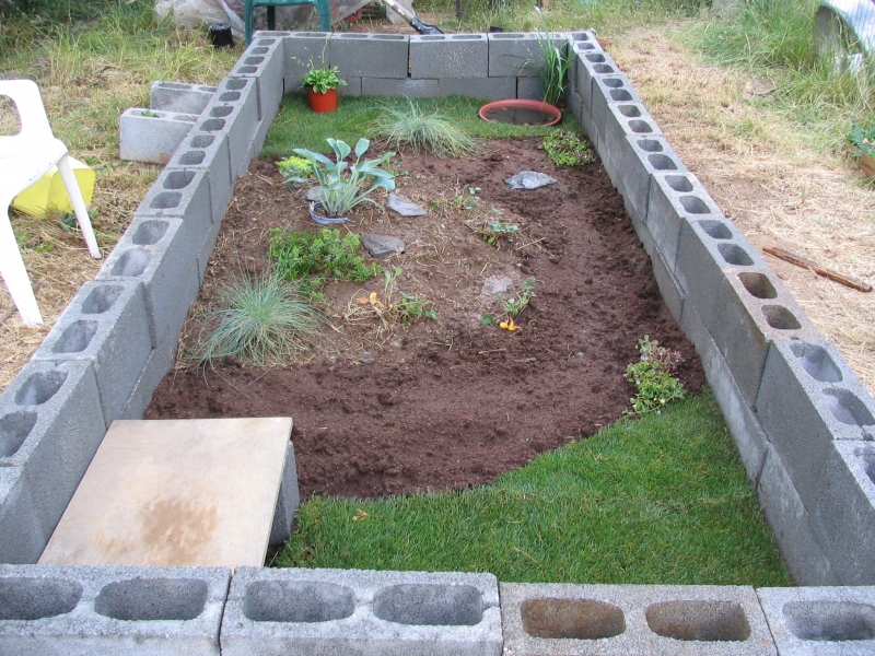 tortoise pen finished on 6-20-08